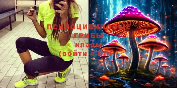 мдпв Михайловка