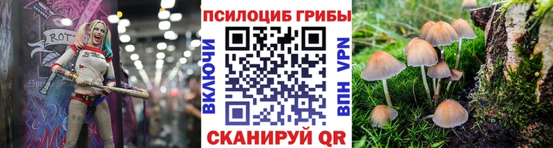 Купить закладки  Пучеж  Галлюциногенные грибы мицелий 